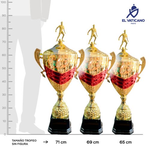 COPA GINEBRA - Imagen 1