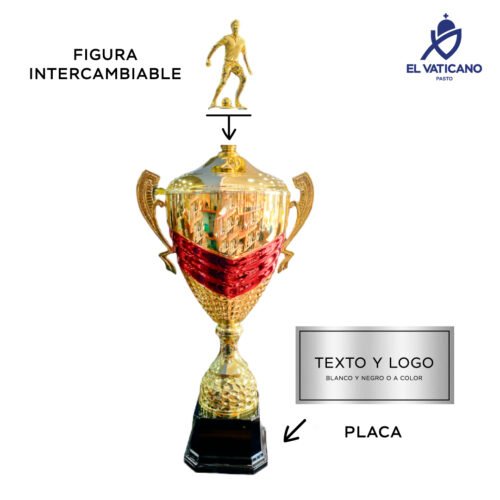 COPA GINEBRA - Imagen 2