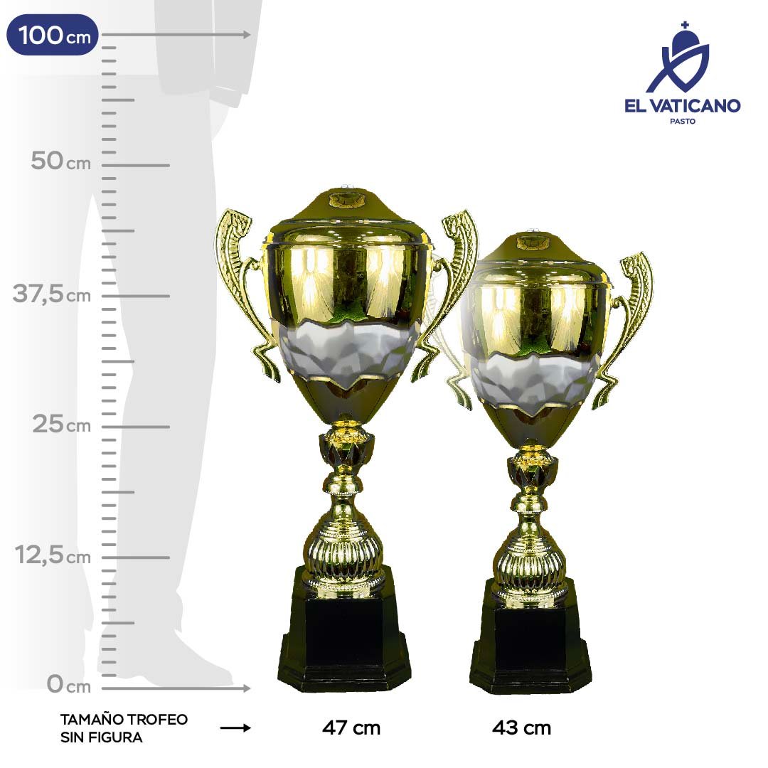 Copa Italiana Beneto