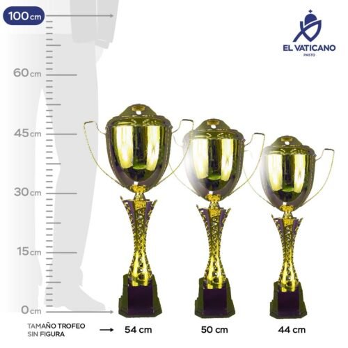 Trofeo Italiano Dublín - Imagen 1