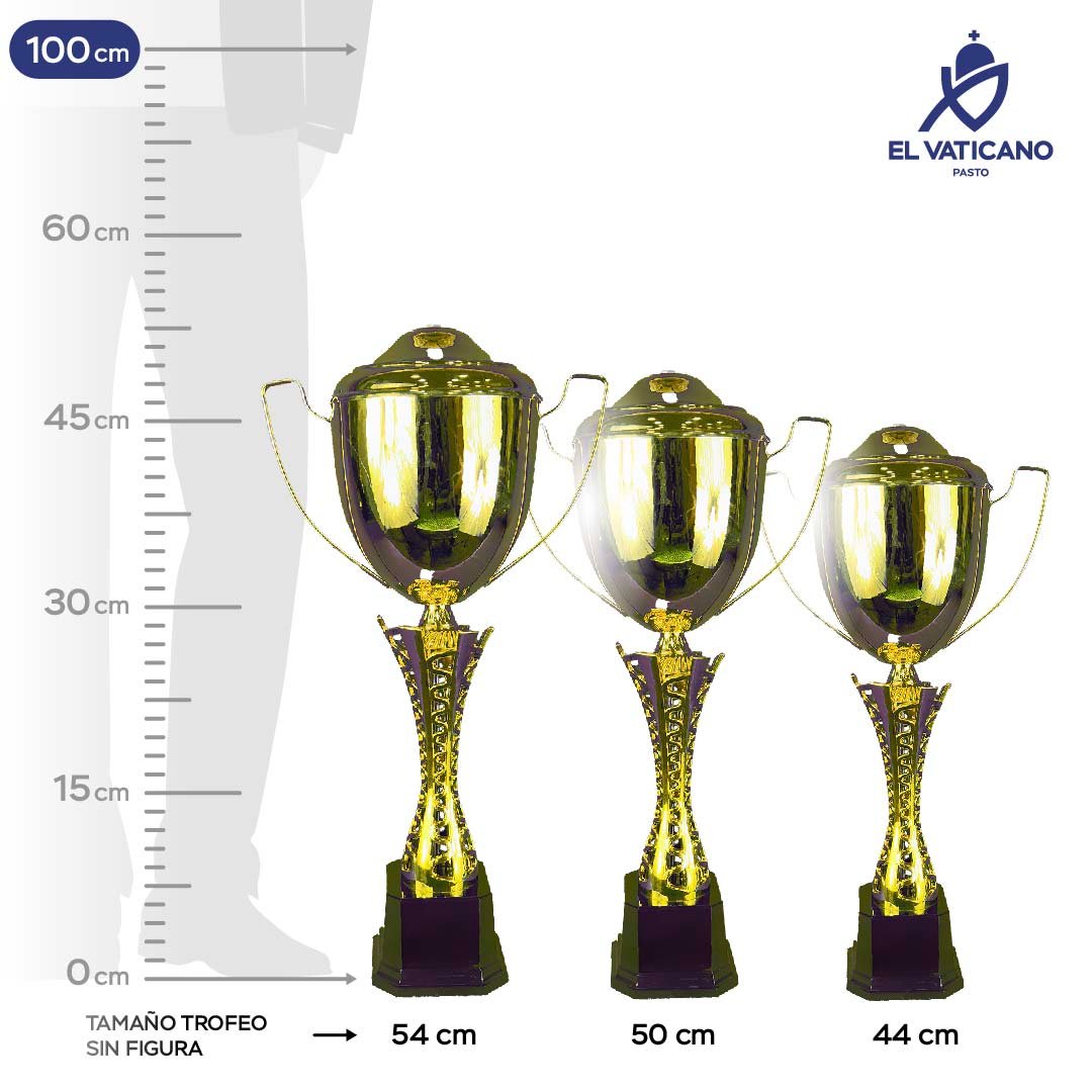 Trofeo Italiano Dublín