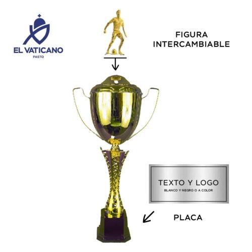 Trofeo Italiano Dublín - Imagen 2