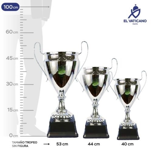 Copa Champions - Imagen 1