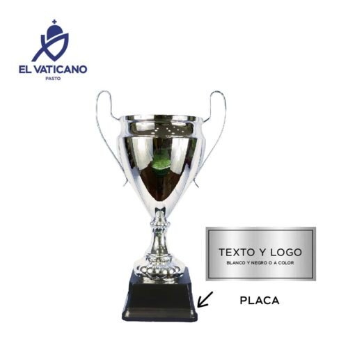 Copa Champions - Imagen 2