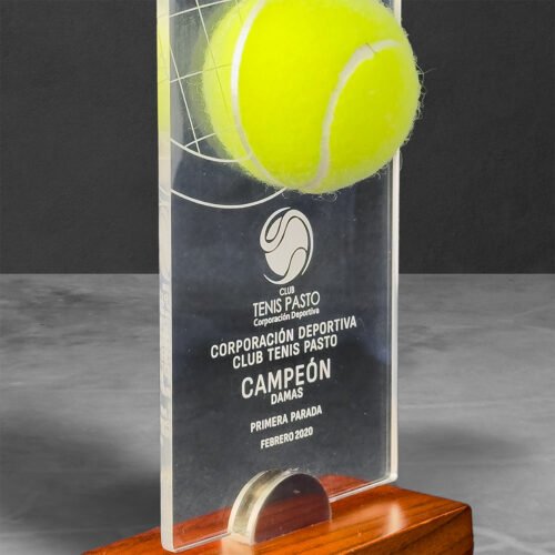 Reconocimiento Tenis con incrustación de pelota - Imagen 2