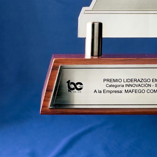 Reconocimiento en Acero - Imagen 2