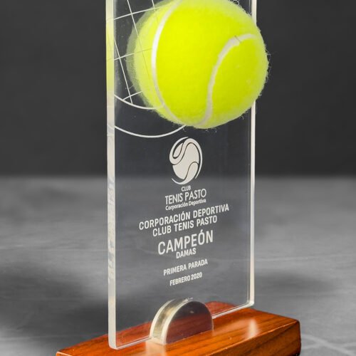 Reconocimiento Tenis con incrustación de pelota - Imagen 2